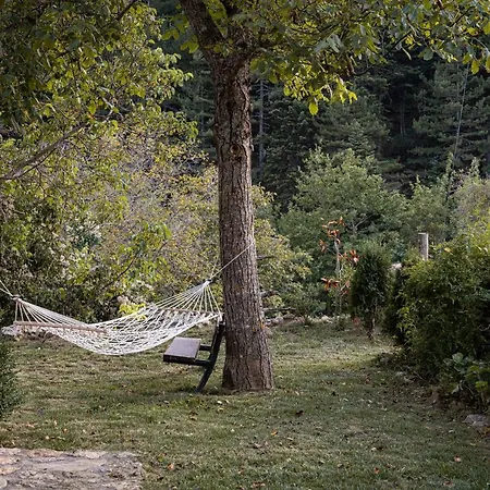 Apartment Hidden Stone *